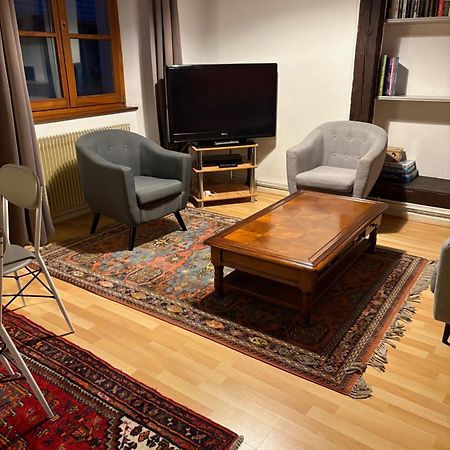Appartement Authentique Centre Historique Κολμάρ Εξωτερικό φωτογραφία